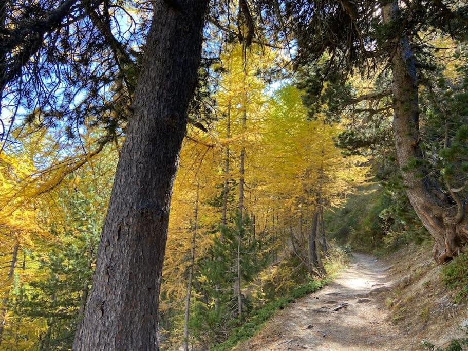 Appartamento Relax in montagna Bardonecchia Esterno foto